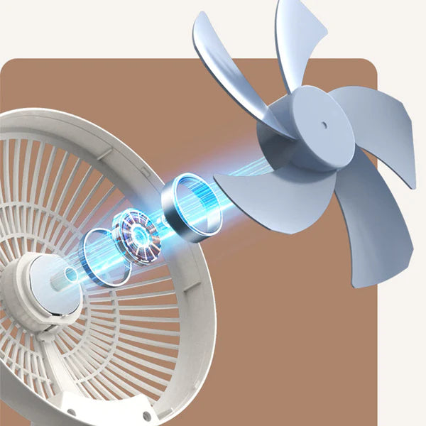 Ventilateur mural 2 en 1