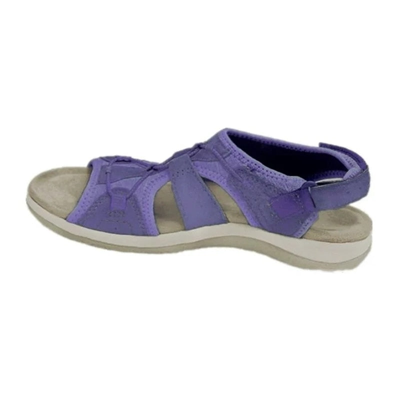 Violet / 35,Violet / 36,Violet / 37,Violet / 38,Violet / 39,Violet / 40,Violet / 41,Violet / 42,Violet / 43