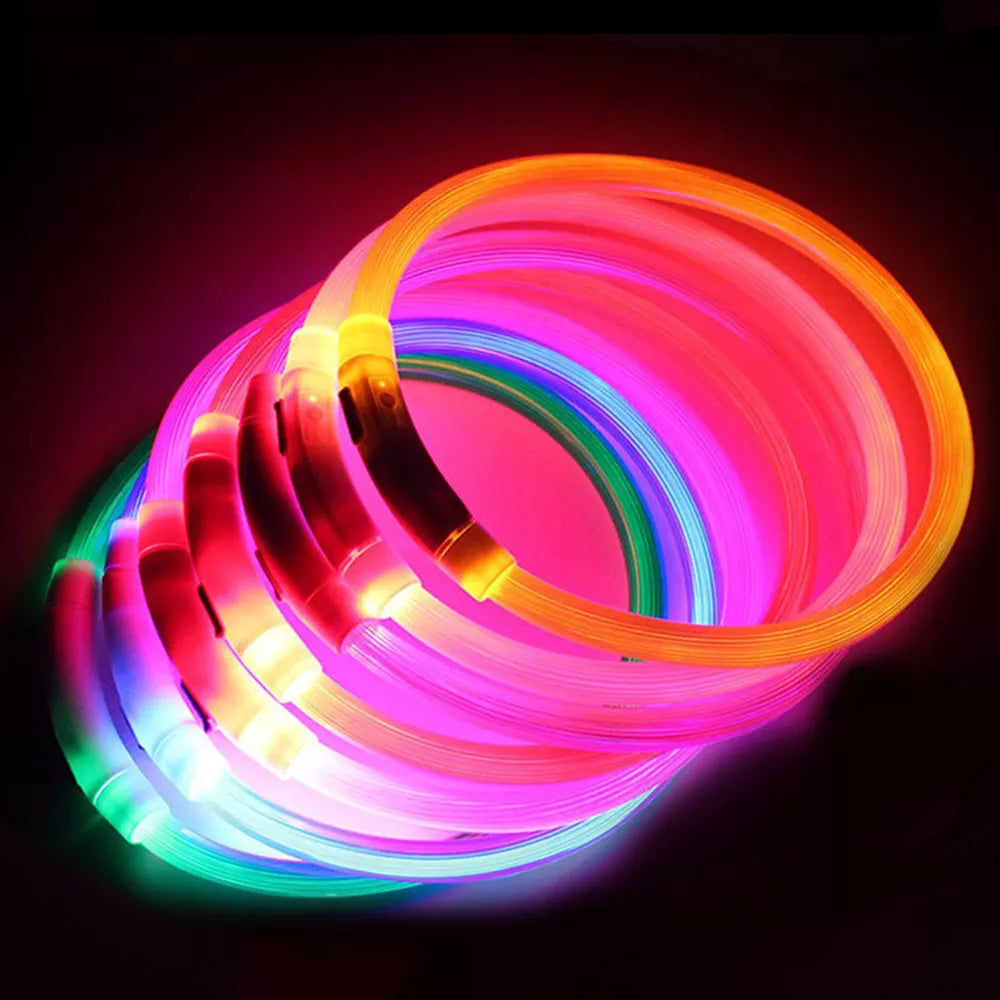 Collier LED pour animaux rechargeable - Sécurité nocturne