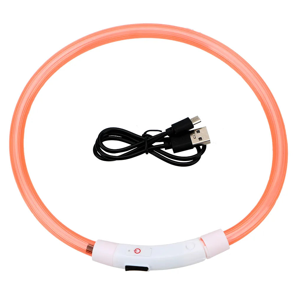 Collier LED pour animaux rechargeable - Sécurité nocturne
