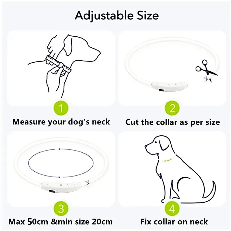 Collier LED pour animaux rechargeable - Sécurité nocturne