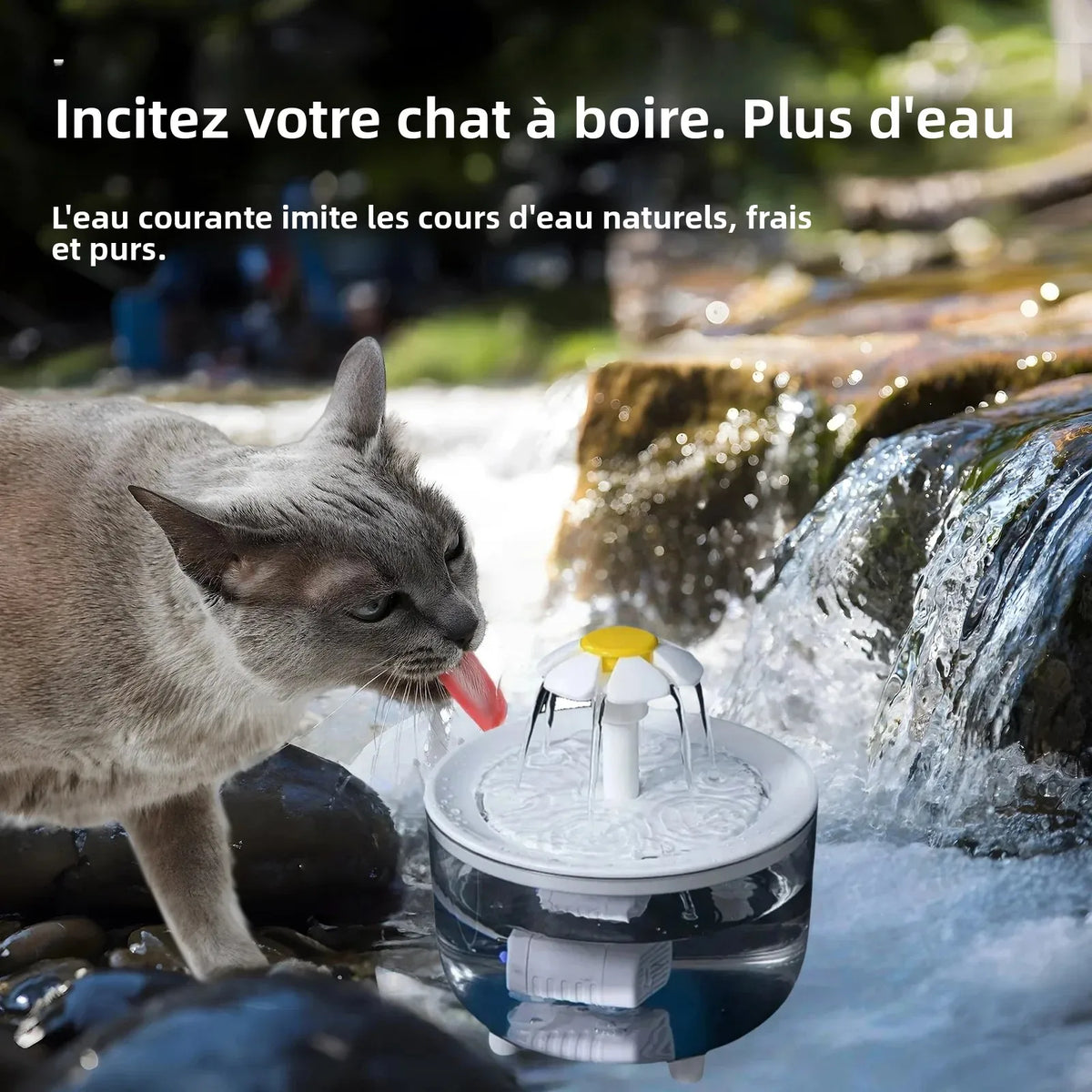 Fontaine à Eau Automatique pour Chat & Chien 1,2 L – Circulation Continue, Filtration USB – 4 Filtres Supplémentaires OFFERTS