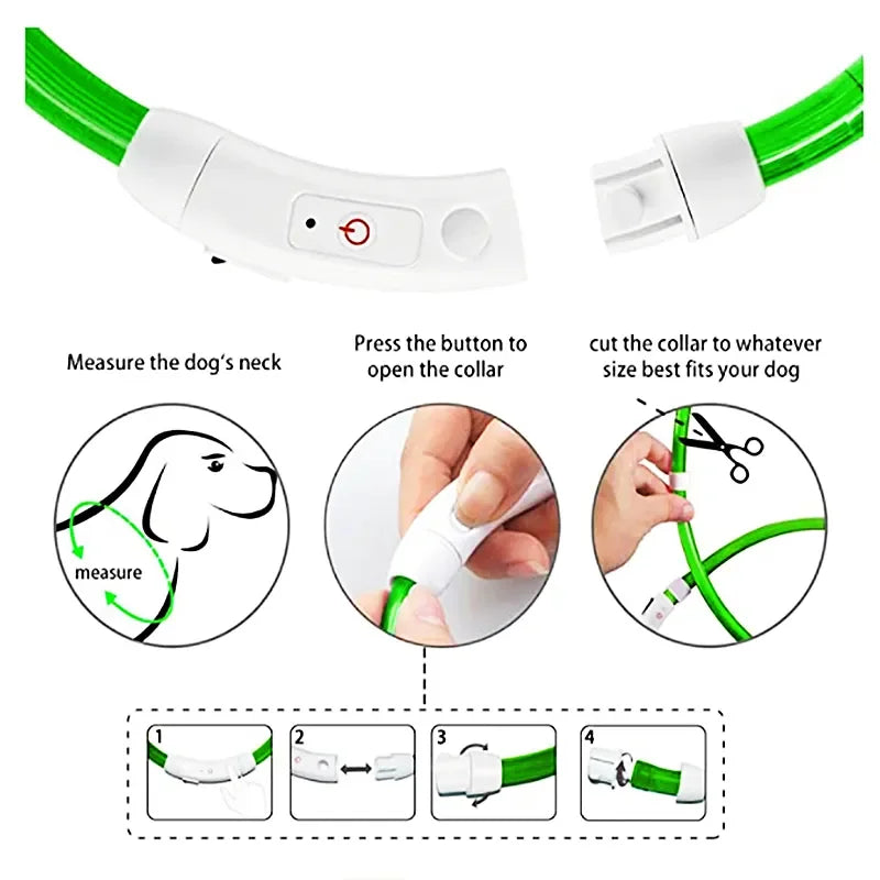 Collier LED pour animaux rechargeable - Sécurité nocturne