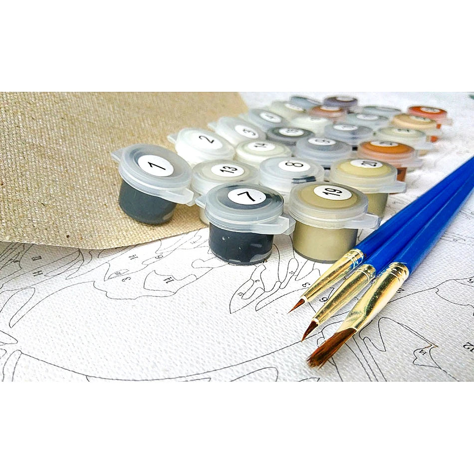 Kit de Toile de Peinture à Peindre par Numéros avec Cadre