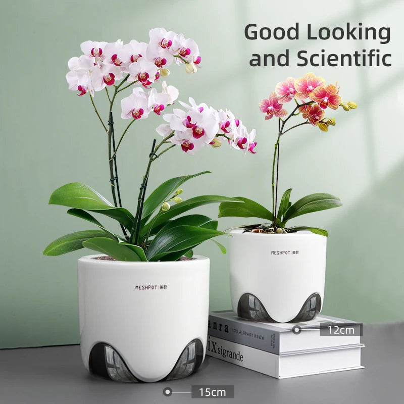Double Pot Irrigateur pour Orchidée