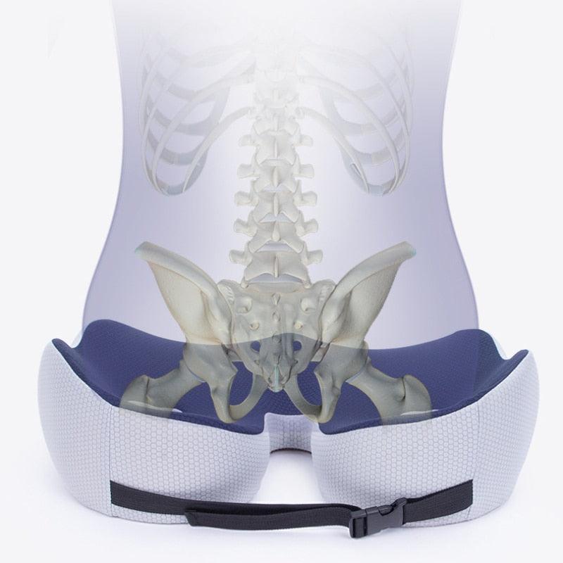 Coussin Orthopédique - Soulage Coccyx - DealValley