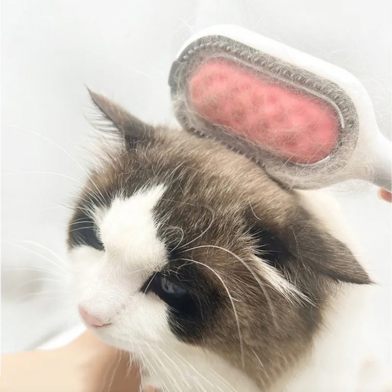 Brosse à poils pour animaux avec réservoir d'eau