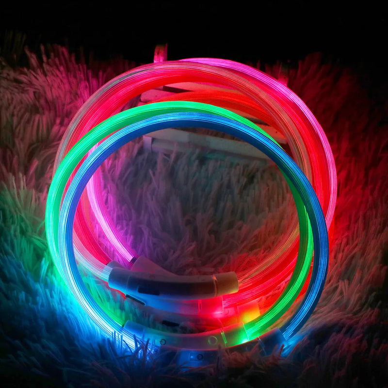 Collier LED pour animaux rechargeable - Sécurité nocturne