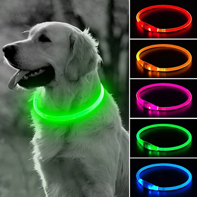 Collier LED pour animaux rechargeable - Sécurité nocturne