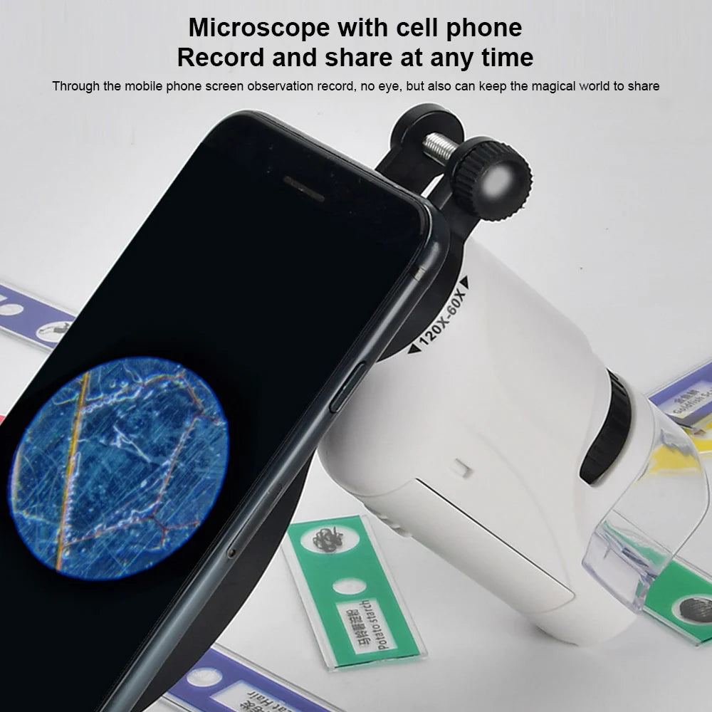 Mini kit de microscope de poche avec lumière LED + Lamelles préparées OFFERTES