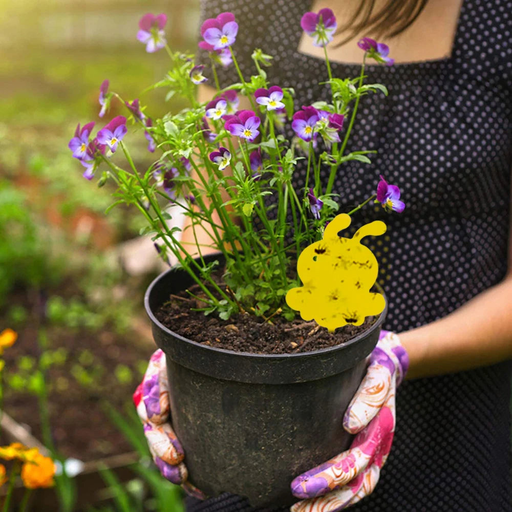 118 Pièges à insectes pour jardin et plantes