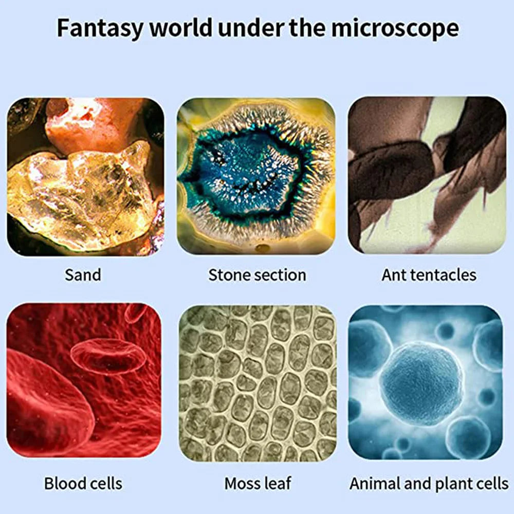 Mini kit de microscope de poche avec lumière LED + Lamelles préparées OFFERTES