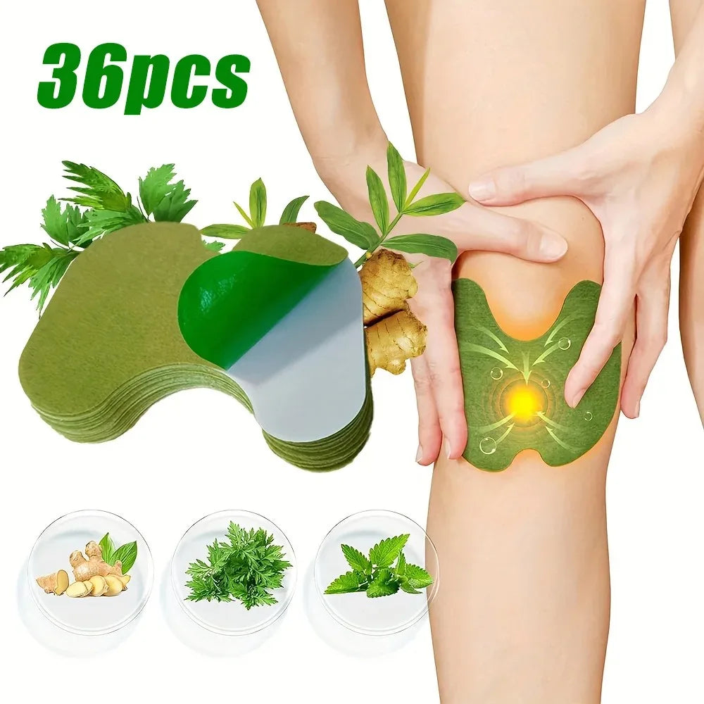 SXGT-36PCS