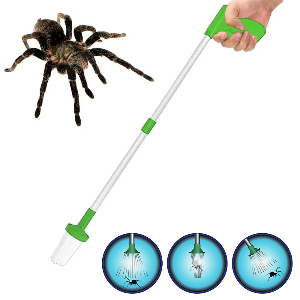 Pince Perche Attrape-araignées et Insectes Pliable