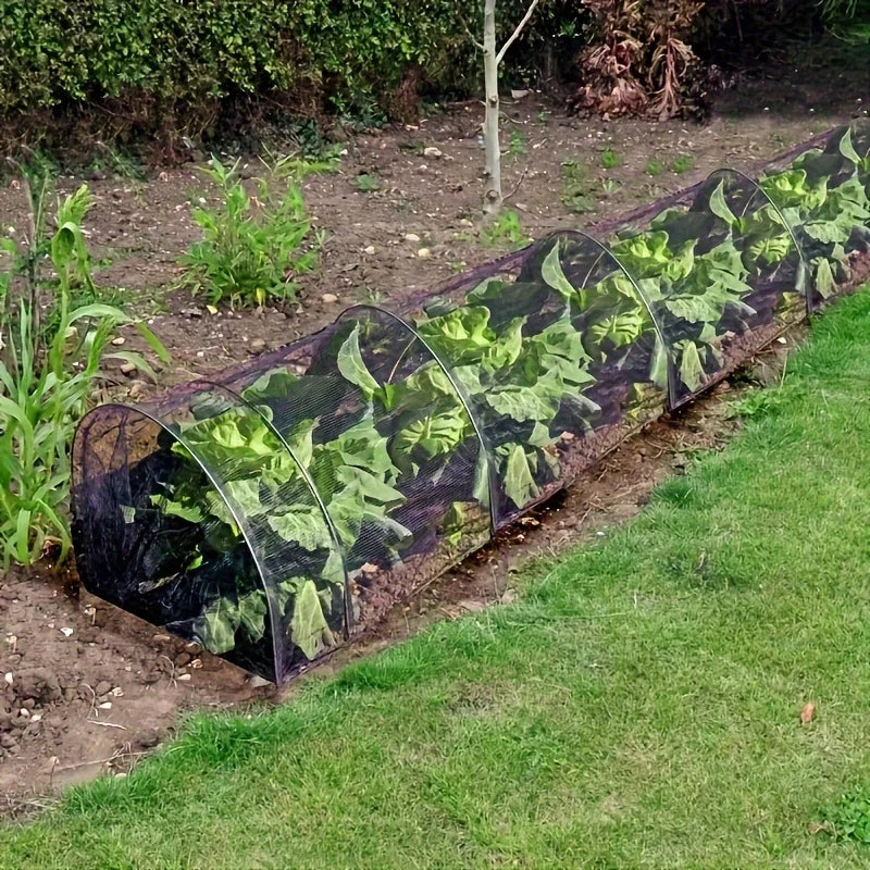Tunnel de Forçage en Accordéon Anti-nuisibles de Jardin