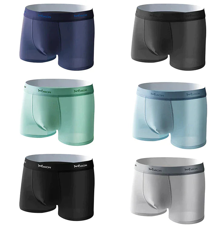 Lot de 4 boxers en soie glacée antibactériens