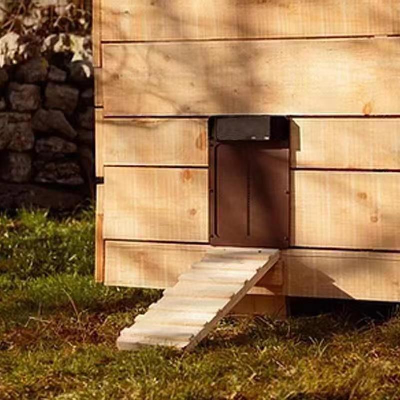 Porte de poulailler automatique - DealValley