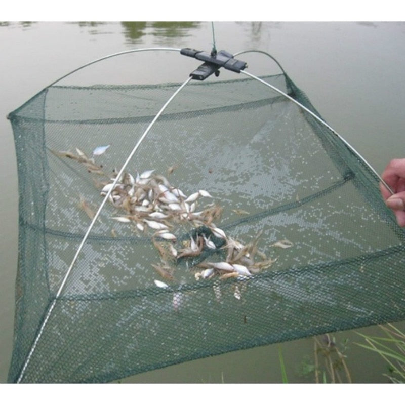 Piège à poisson à 360° 10 trous - Attrapez plus de poissons !